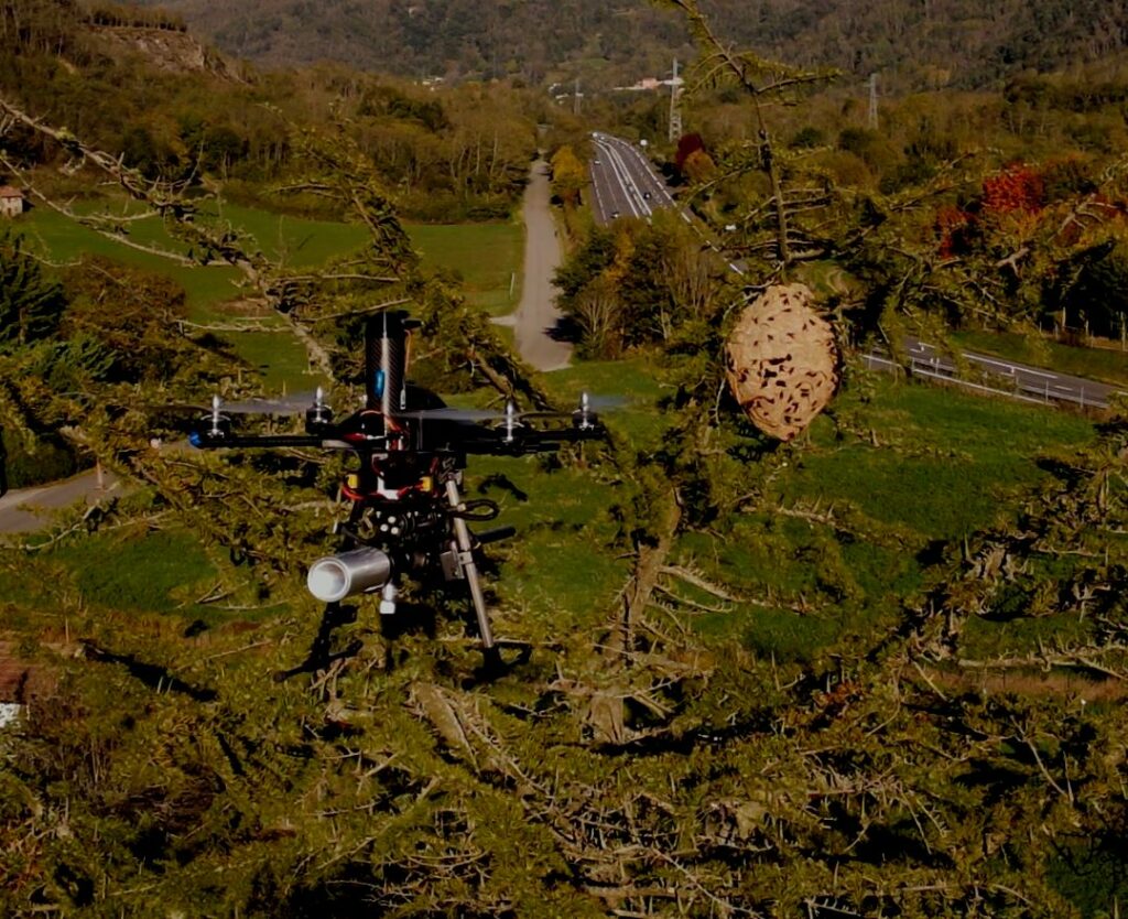 Destruction d'un nid de frelons asiatiques par drone sur la commune d'Arignac en Ariège.