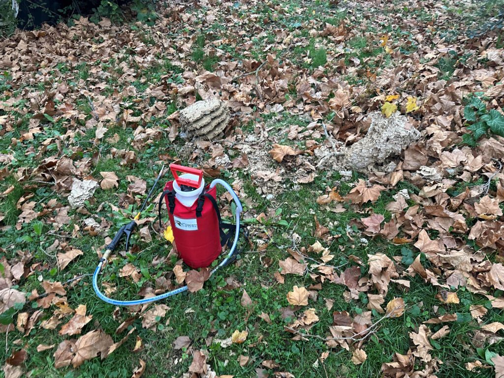 Intervention d'urgence par RDrone Concept : traitement et évacuation d'un nid de frelons asiatiques tombé au sol après une tempête chez un particulier à Laroque-d'Olmes (09).