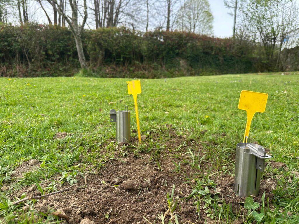Installation de pièges à taupes traditionnels par RDrone Concept pour éliminer les taupinières d'un jardin à Brassac.