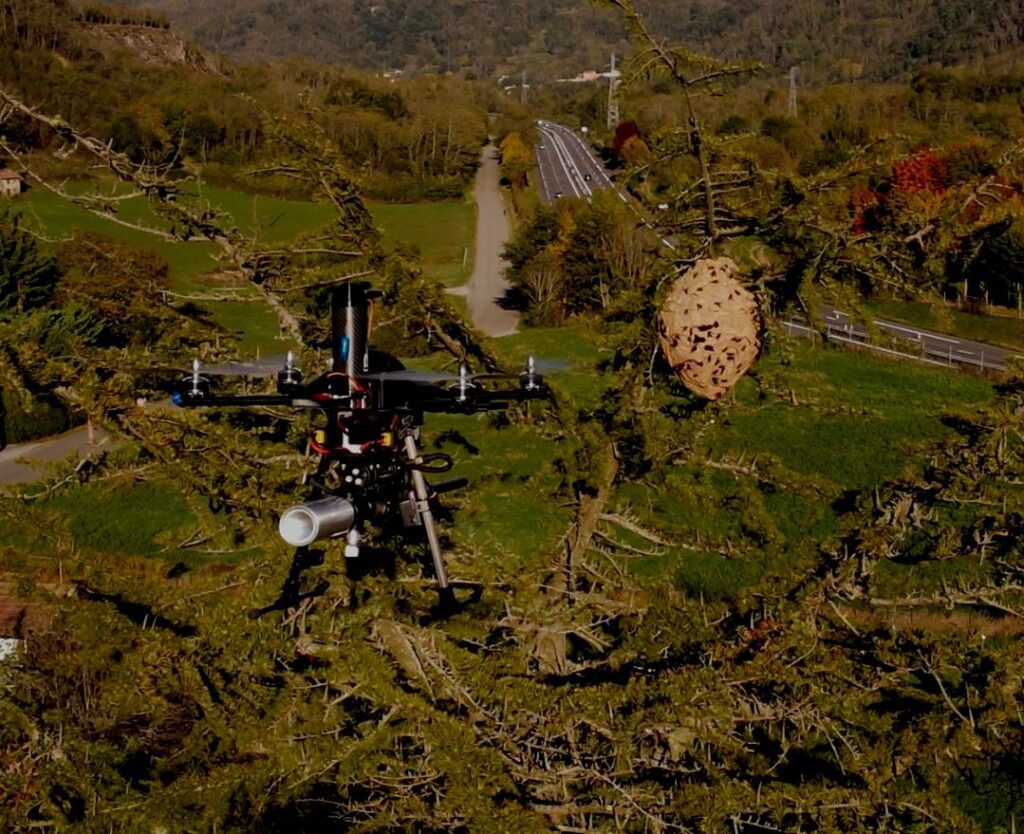 Drone de l'entreprise RDrone Concept en plein traitement par pulvérisation d'un gros nid de frelons asiatiques à 22 mètres de hauteur à Arignac (09).