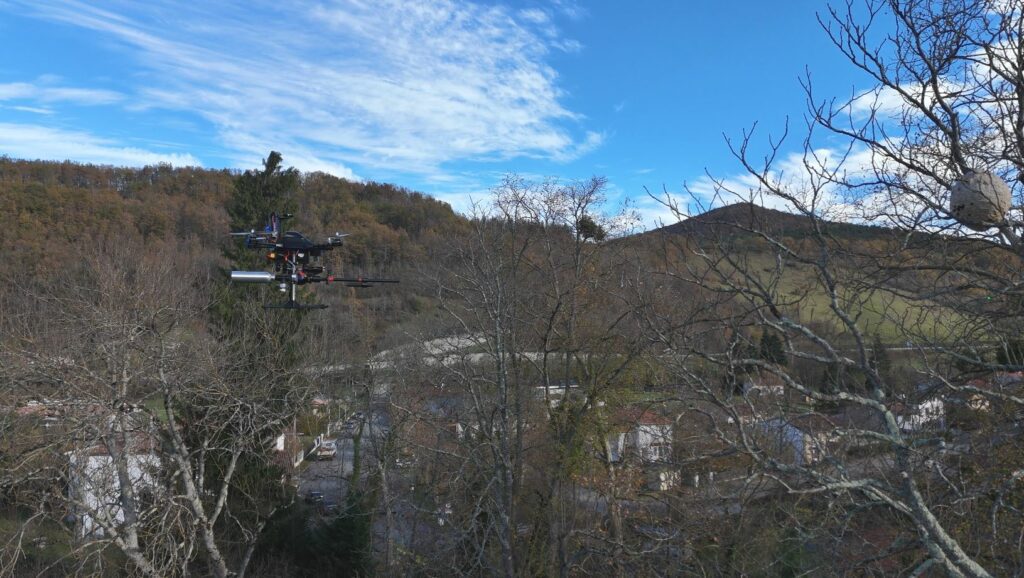 Drone de la société RDrone Concept en plein traitement par pulvérisation d'un gros nid de frelons asiatiques à 22 mètres de haut à Saint-Paul-de-Jarrat (09).